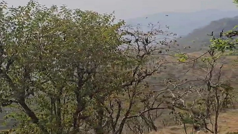 ₹4 Cr&nbsp;|&nbsp;3840 sq.yards agriculture land for sale  in narendra nagar rishikesh