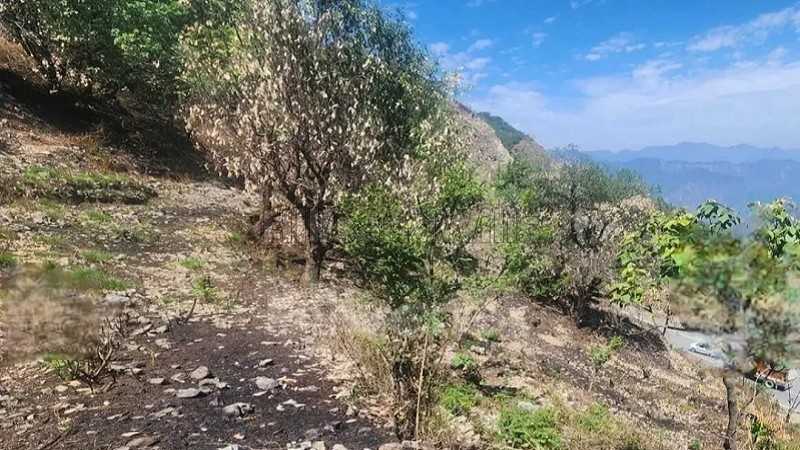 ₹3 Cr | 1320 sq.yards agriculture land for sale in narendra nagar rishikesh