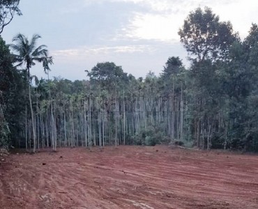 1.20 acres residential plot for sale  in nadavayal wayanad