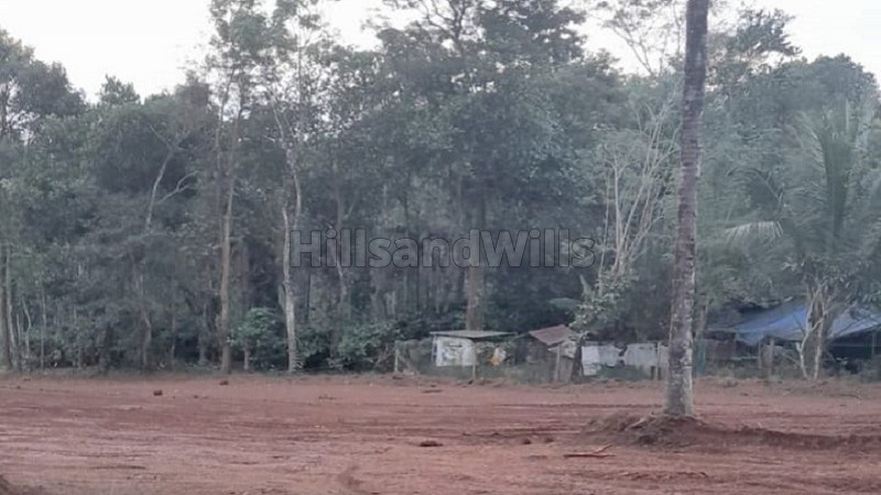 ₹1.25 Cr&nbsp;|&nbsp;1.20 acres residential plot for sale  in nadavayal wayanad