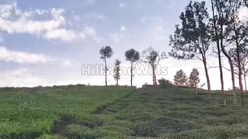 ₹46.80 Lac&nbsp;|&nbsp;26 cents residential plot for sale  in sundatty kotagiri