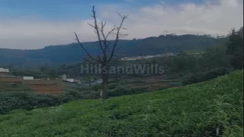 ₹46.80 Lac&nbsp;|&nbsp;26 cents residential plot for sale  in sundatty kotagiri