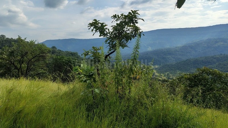 ₹20 Lac&nbsp;|&nbsp;66 guntha  dam view land for sale  near tapola & mahabaleshwar