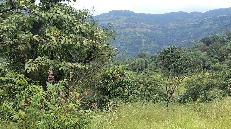 ₹20 Lac&nbsp;|&nbsp;66 guntha  dam view land for sale  near tapola & mahabaleshwar