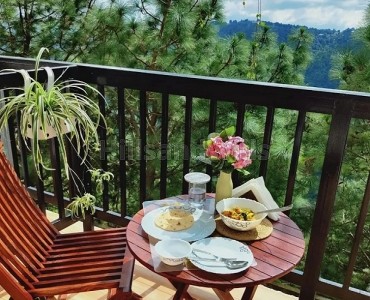 8bhk independent house for rent  in barog solan