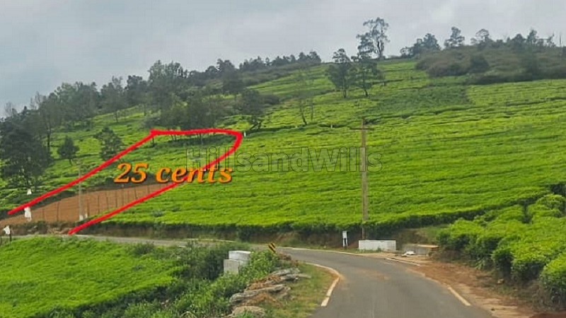 ₹57.50 Lac | 25 cents residential plot for sale between kotagiri and ooty