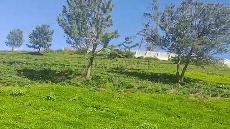 ₹2.12 Cr | 1.25 acres tea garden land for sale in kanacombai kotagiri