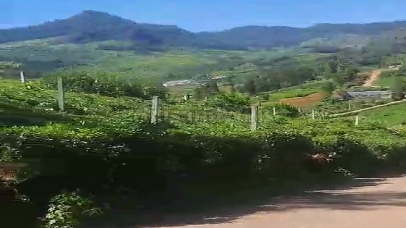 ₹2.12 Cr | 1.25 acres tea garden land for sale in kanacombai kotagiri