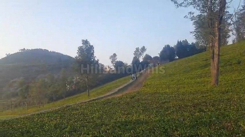 ₹4 Cr | 2 acres tea estate for sale in kotagiri