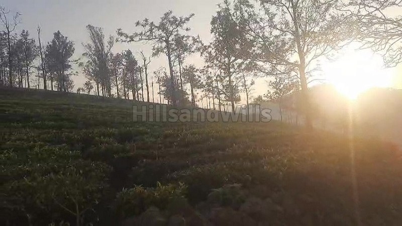₹4 Cr | 2 acres tea estate for sale in kotagiri