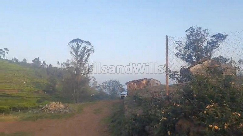 ₹4 Cr | 2 acres tea estate for sale in kotagiri