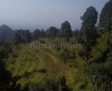 20 nali agriculture land for sale  in mangoli nainital