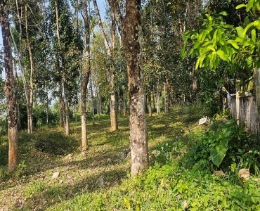 20 cents residential plot for sale  in meenangadi wayanad