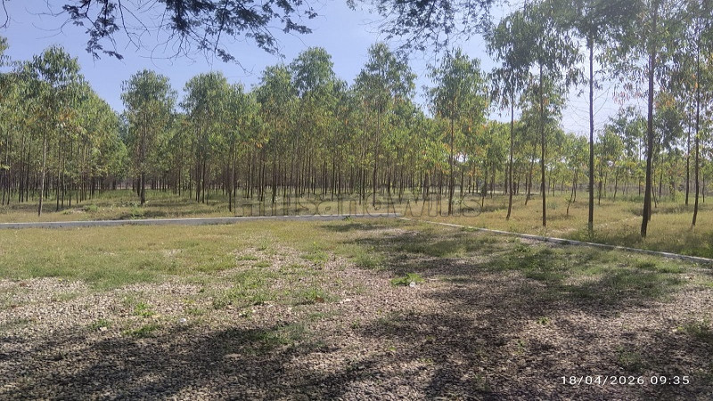 ₹18 Lac | 100 sq.yards residential plot for sale in ganeshpur dehradun