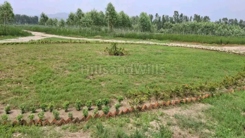 ₹18 Lac | 100 sq.yards residential plot for sale in ganeshpur dehradun