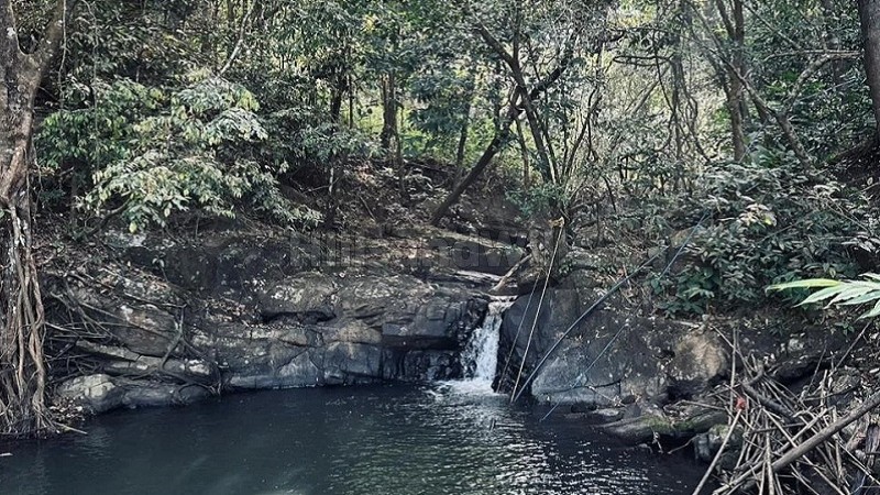 ₹3.50 Cr&nbsp;|&nbsp;2bhk farm house for sale  in vagamon idukki