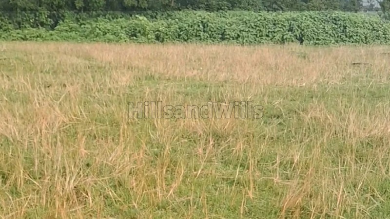 ₹30 Lac | 5 kattha residential plot for sale in siliguri