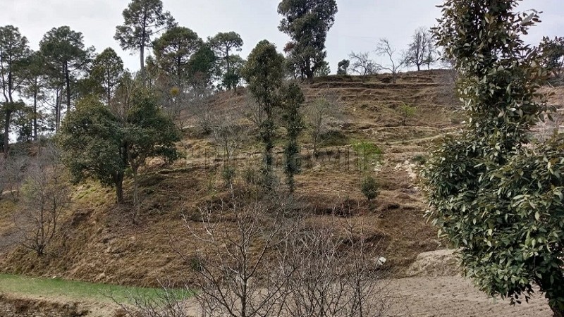 ₹2.50 Cr | 10 nali land for sale near bhalugarh waterfall mukteshwar, nainital