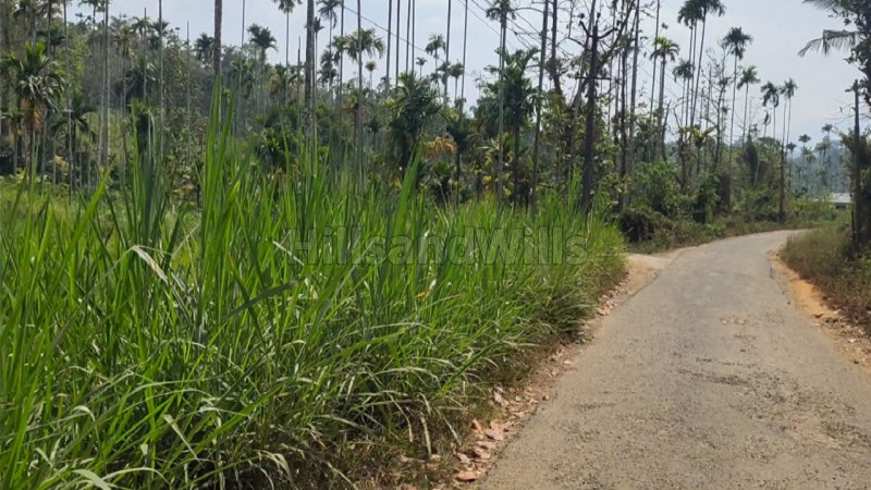 ₹38 Lac&nbsp;|&nbsp;40 cents residential plot for sale  in kakkavayal wayanad