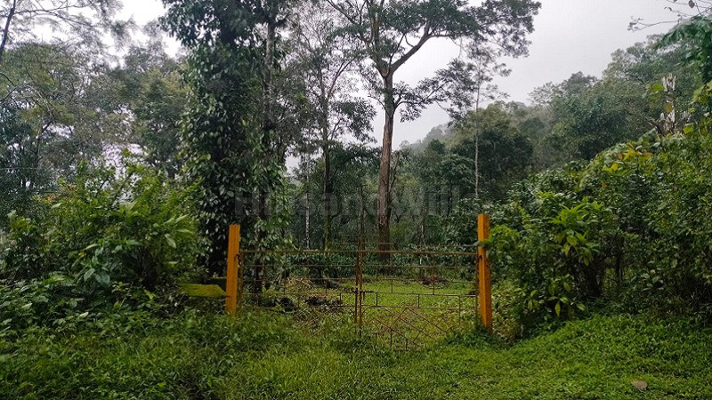 ₹15 Cr&nbsp;|&nbsp;10 acres agriculture land for sale  in madikeri coorg