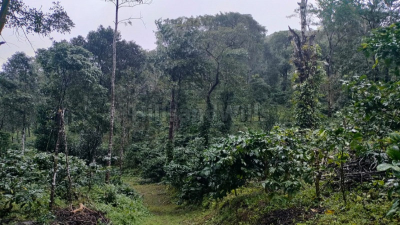 ₹15 Cr&nbsp;|&nbsp;10 acres agriculture land for sale  in madikeri coorg