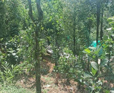 1.54 acres agriculture land for sale  in kattappana idukki