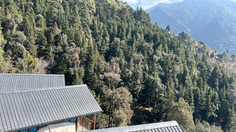 ₹4.50 Cr&nbsp;|&nbsp;10 nali residential plot for sale  in pangot nainital