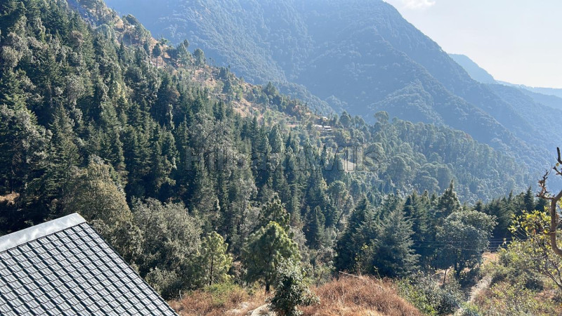 ₹4.50 Cr&nbsp;|&nbsp;10 nali residential plot for sale  in pangot nainital