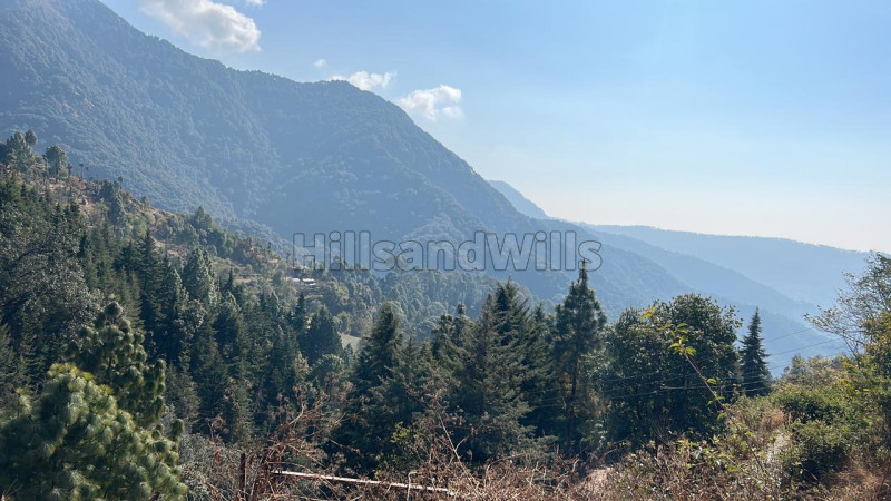 ₹4.50 Cr&nbsp;|&nbsp;10 nali residential plot for sale  in pangot nainital
