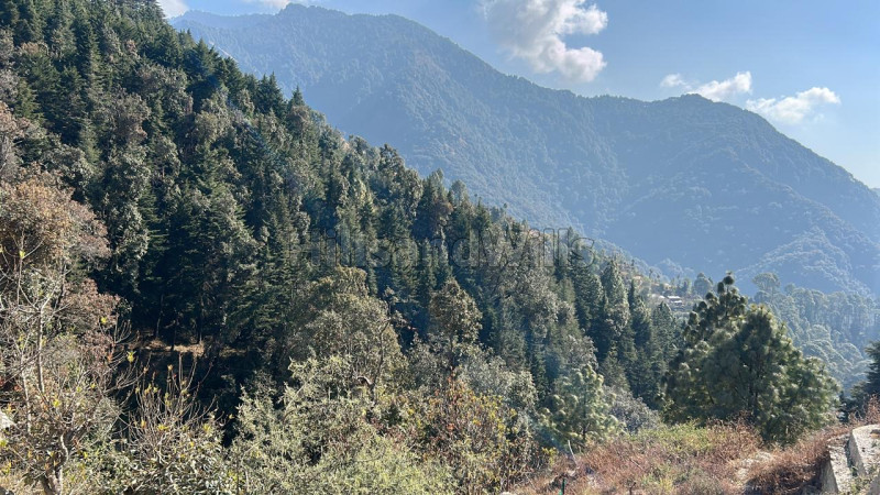 ₹4.50 Cr&nbsp;|&nbsp;10 nali residential plot for sale  in pangot nainital