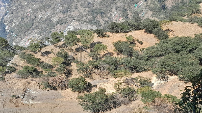 ₹3.10 Cr&nbsp;|&nbsp;10.05 bigha commerical land for sale  in shimla bypass road shimla