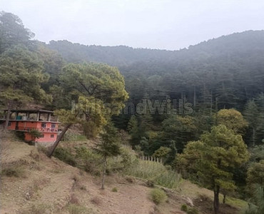 3bhk farm house for sale  in chail solan