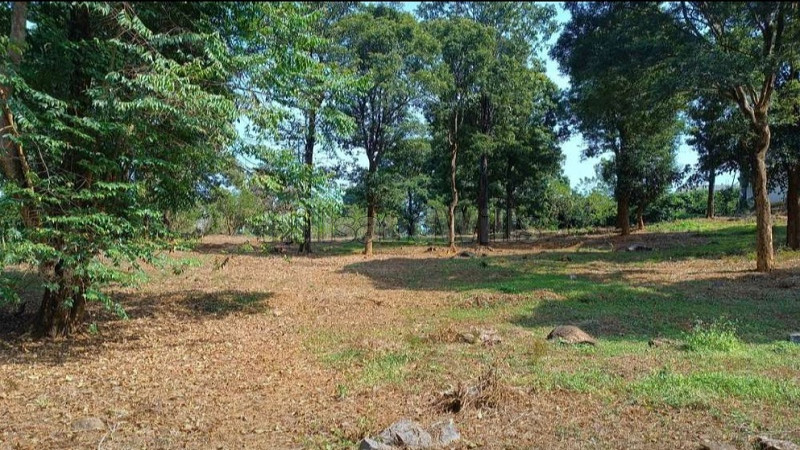 ₹8 Cr&nbsp;|&nbsp;2 acres  residential land for sale  in gudalur