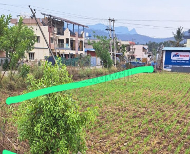 21750 sq.ft.  residential land for sale  near idsg govt college, chikmagalur