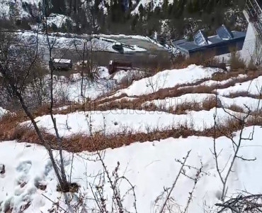 12 biswa residential plot for sale  near theog shimla