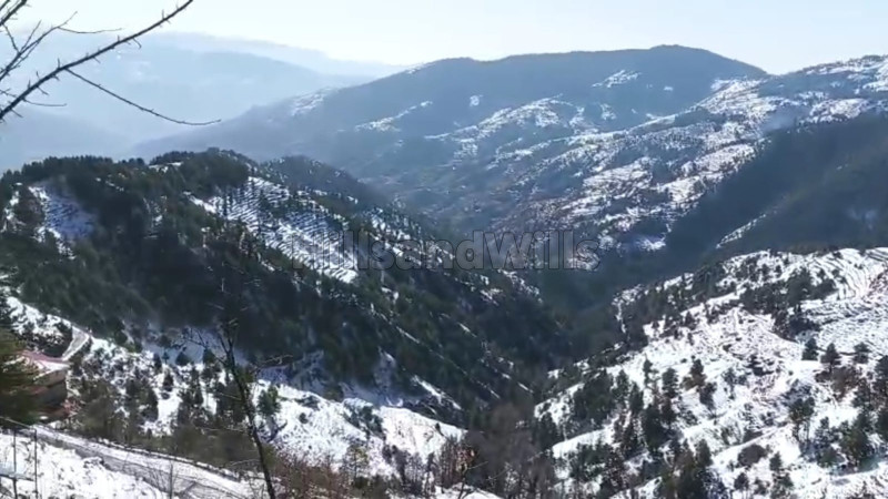 ₹96 Lac&nbsp;|&nbsp;12 biswa residential plot for sale  near theog shimla