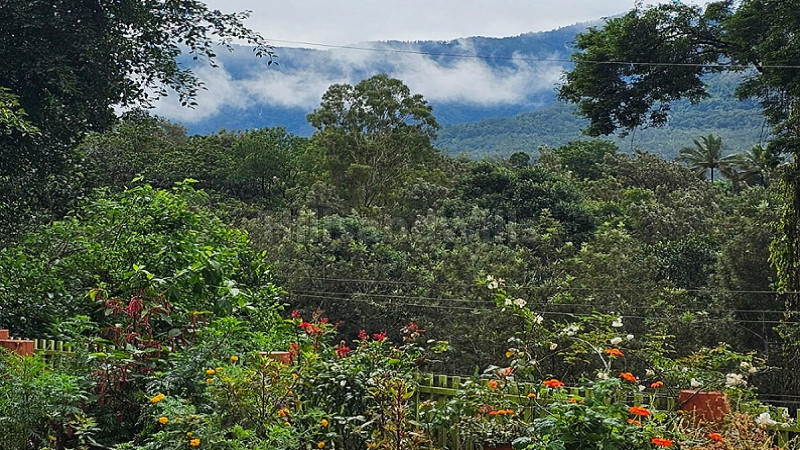 ₹1.62 Cr&nbsp;|&nbsp;65 cents  commercial purpose land for sale  in ezhumuram gudalur