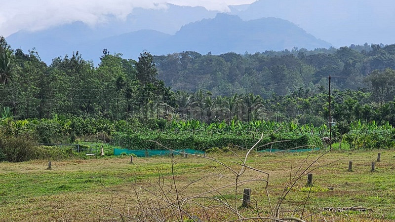 ₹1.62 Cr&nbsp;|&nbsp;65 cents  commercial purpose land for sale  in ezhumuram gudalur