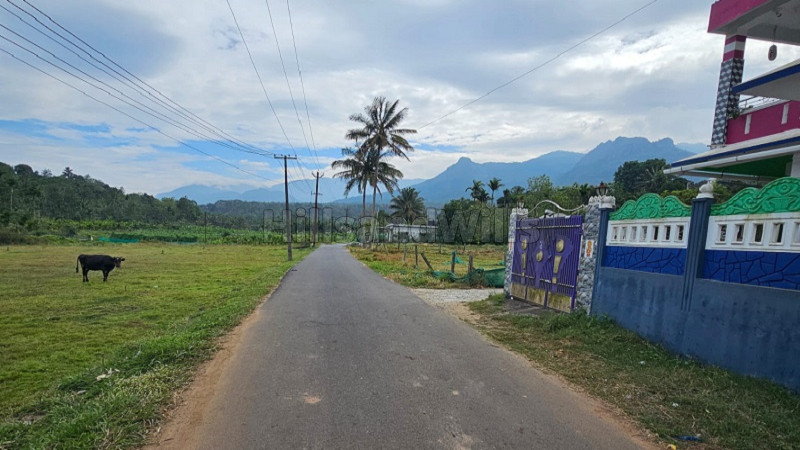 ₹1.62 Cr&nbsp;|&nbsp;65 cents  commercial purpose land for sale  in ezhumuram gudalur