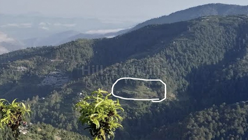 ₹1 Cr&nbsp;|&nbsp;5 bigha  apple orchard with farm house for sale  in mandi himachal pradesh