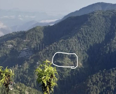 5 bigha  apple orchard with farm house for sale  in mandi himachal pradesh