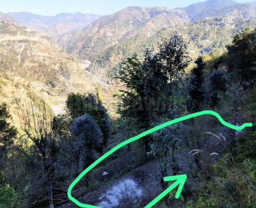 34 biswa agriculture land for sale  in shoghi shimla