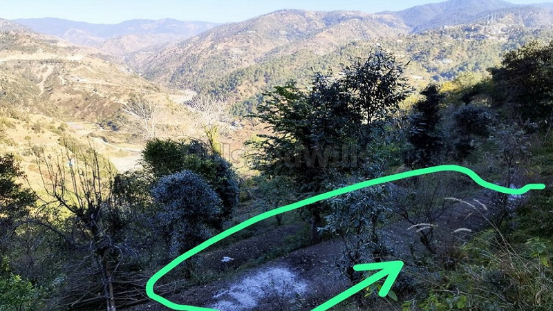 ₹1.35 Cr | 34 biswa agriculture land for sale in shoghi shimla