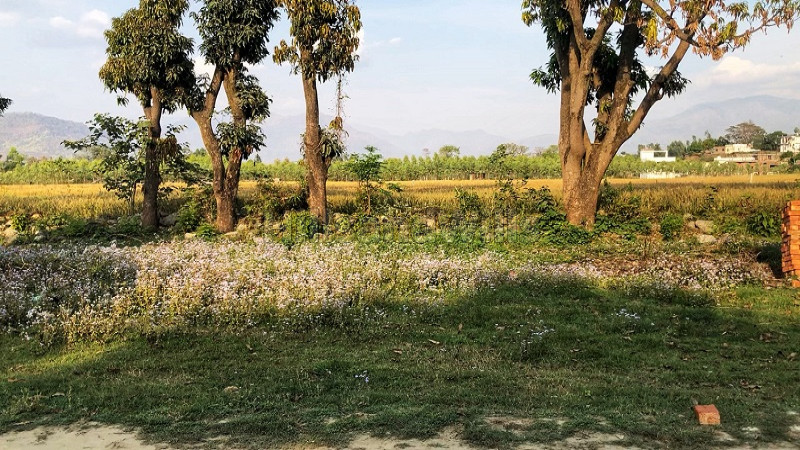 ₹9.87 Lac&nbsp;|&nbsp;1410 sq.ft. residential plot for sale  in tularam basti dehradun