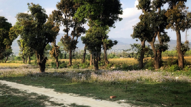 ₹9.87 Lac&nbsp;|&nbsp;1410 sq.ft. residential plot for sale  in tularam basti dehradun