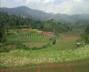 50 cents agriculture land for sale  in benthaty coonoor