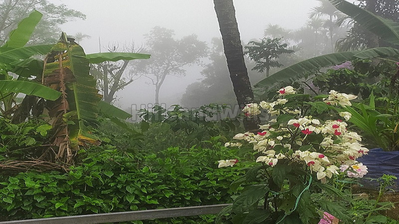 ₹3 Cr&nbsp;|&nbsp;3 acres agriculture land for sale  in ambalavayal wayanad