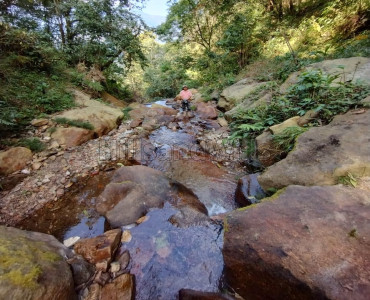 17.30 acres agriculture land for sale  in parmagury ramji khasmal busty, darjeeling