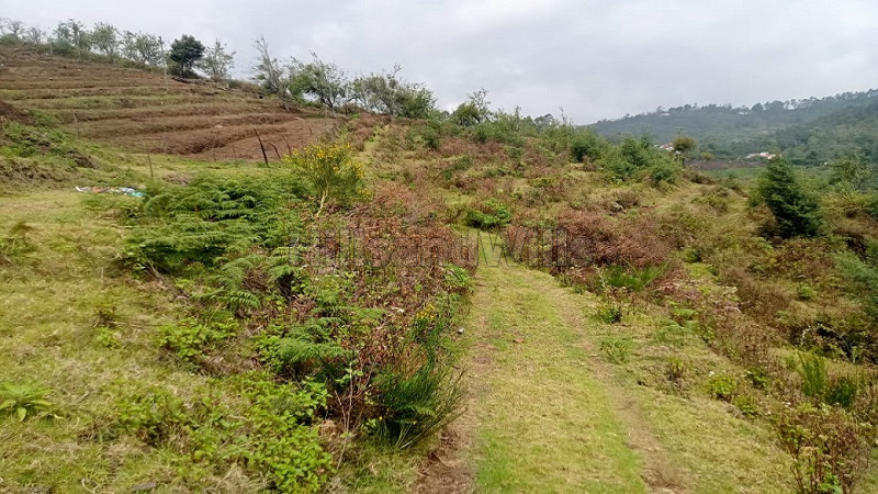₹30 Lac&nbsp;|&nbsp;3600 sq.ft. residential plot for sale  in villpati kodaikanal