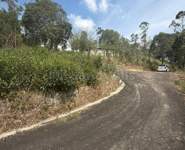 10 cents residential plot for sale  in kuttikkanam idukki